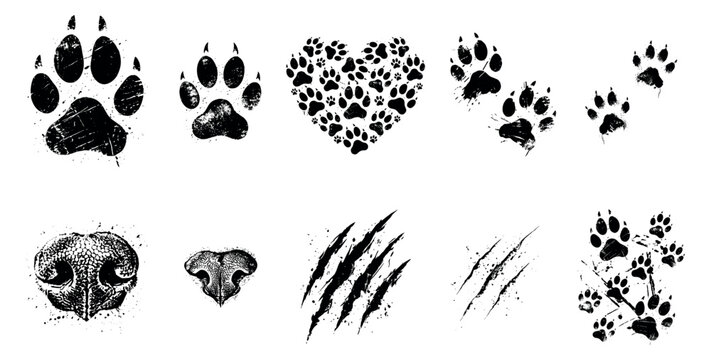 Grunge pet paw prints and scratches vector collection