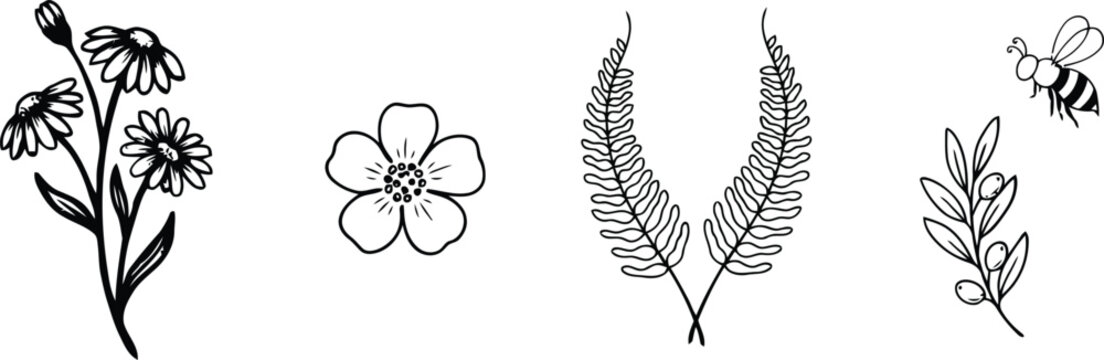 Vector illustration of rustic flower and bee
