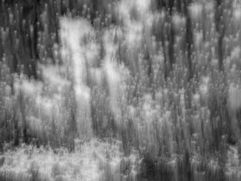Abstract impressionistic photography