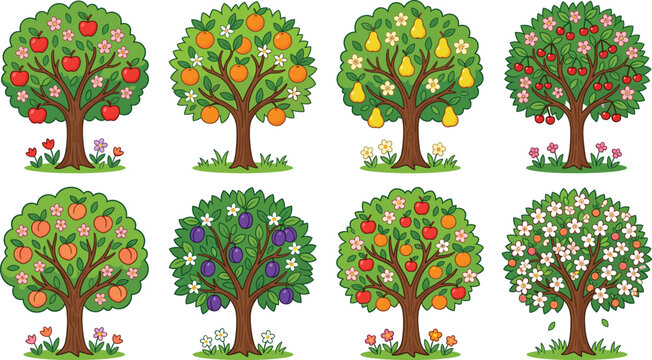 Fruit trees collection, apple, orange, pear, cherry, peach, plum vector illustration