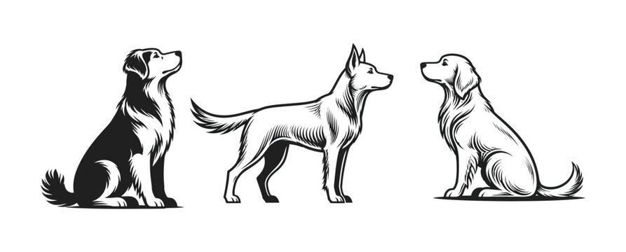 Set of three different dog head silhouette vector design