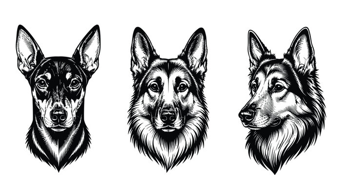 Set of three different dog head silhouette vector design