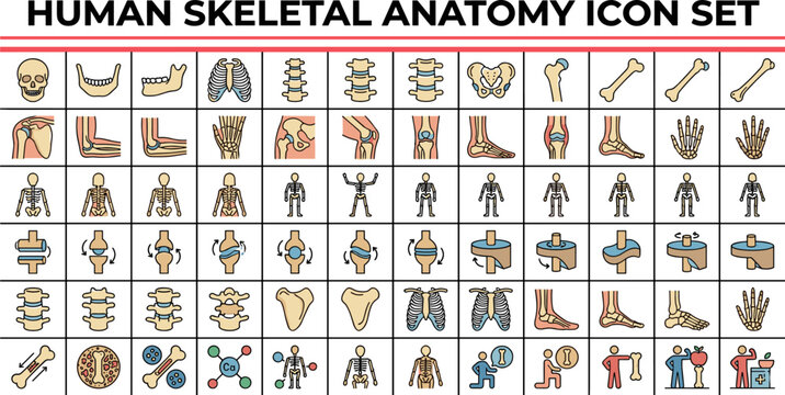 Human skeletal anatomy icon set with various poses and parts