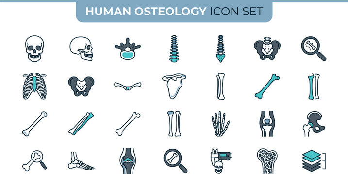 Human osteology icon set featuring skeletal system bones and medical tools