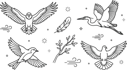 Fototapeta premium Hand drawn flying birds outline icons set with eagle heron dove sparrow feather branch and wind elements