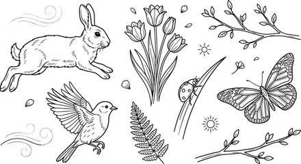 Hand drawn spring nature outline icons set with rabbit bird tulips butterfly ladybug fern and tree branches © MstLaky