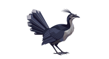 Detailed geometric illustration of a unique bird with dark feathers, a prominent crest, and a large tail standing against a white background.