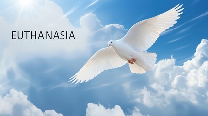Fototapeta premium Dove in Flight Against Beautiful Sky Background