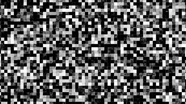 Pixelated static noise texture with grayscale blocks and digital distortion effect animation.