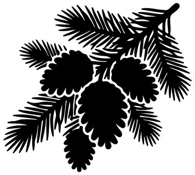 Black silhouette of a pine tree branch with multiple hanging pine cones for nature design and winter holiday crafts