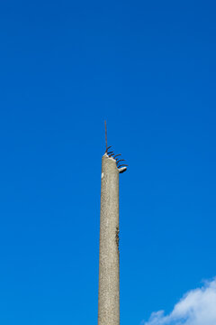 vecchio palo rotto di cemento, color grigio chiaro, in primo piano, cielo azzurro e sereno sullo sfondo 