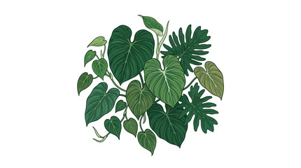 Lush Green Tropical Plant Leaves Arrangement, Botanical Illustration © Arjuno