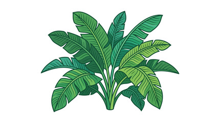 Vibrant Green Banana Plant Leaves - Tropical Foliage Illustration © Arjuno