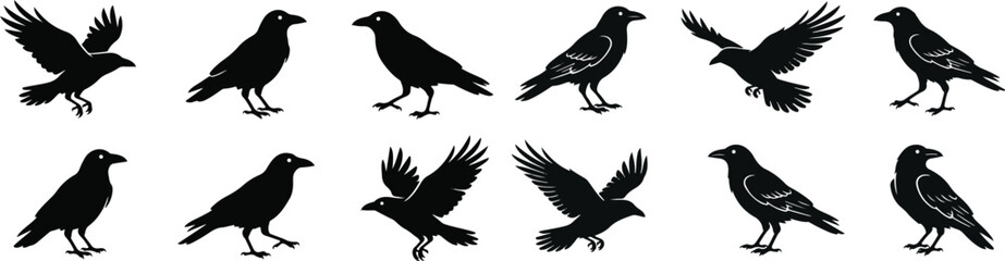 Fototapeta premium Halloween crow silhouettes for spooky decorations and party themes