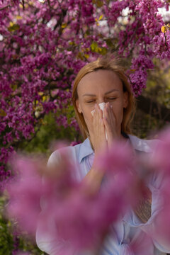 Woman suffering from seasonal allergies, sneezing into a tissue, surrounded by vibrant pink blooming trees in spring, experiencing hay fever and pollen discomfort