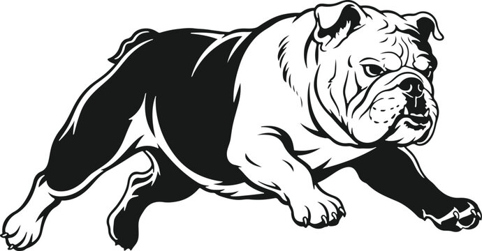 Bulldog Running Black and White: A powerful bulldog in mid-stride, depicted in a stark black and white graphic style, conveying strength and determination.