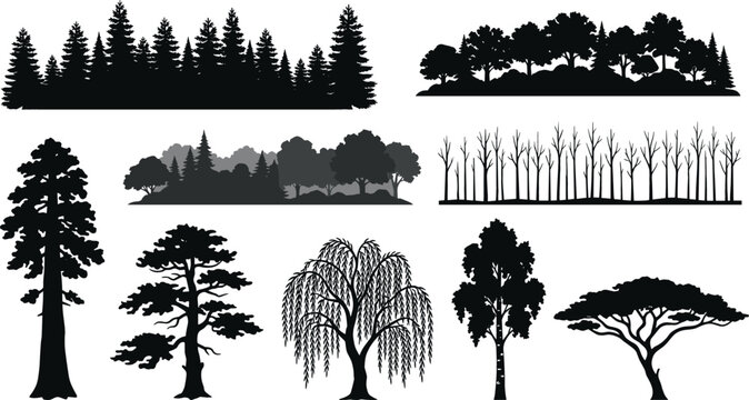 Forest tree silhouette black icon set with pine woodland horizons sequoia willow acacia and bare winter branches vector illustration graphic