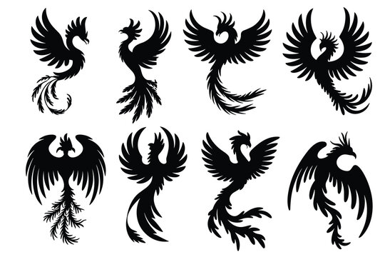 Set of black silhouettes of mythical phoenix birds in dynamic poses Keywords: phoenix, mythical bird, legend, fantasy, firebird