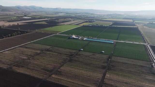 Aerial panoramic view of vast agricultural fields and green vegetable plantations in rural countryside