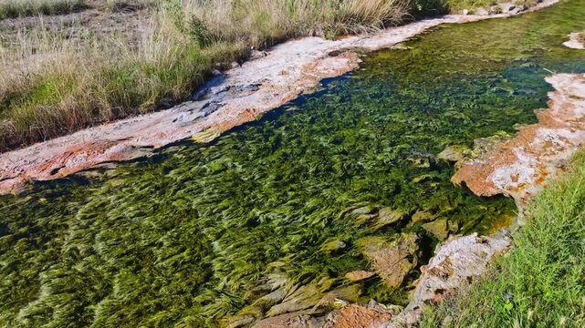 Natural thermal spring flowing through Hot Springs State Park in Thermopolis Wyoming with steaming mineral water