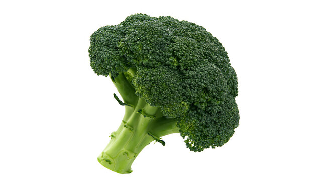 Fresh green broccoli head with thick stalk, isolated on transparent background