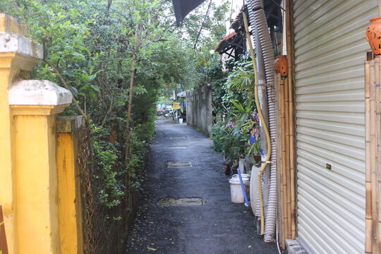 Narrow residential path between yellow walls with greenery and bamboo structures.