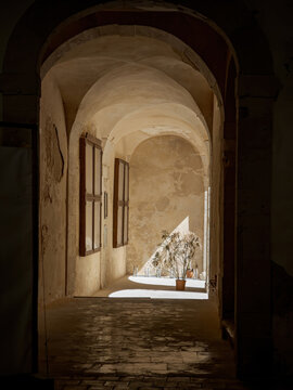 Historic arched entrance hall with stone vaults and a sunlit potted plant in Ortigia, Syracuse, Sicily, Italy. Dramatic light and shadow in an old stone hallway.