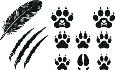 Fototapeta premium A creative collection of vector illustrations featuring a detailed feather, sharp claw marks, and various distinct animal paw prints for wildlife design projects.
