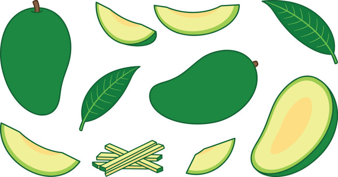 Organic raw green mango vector element collection with sour tropical fruit halves sliced pieces sticks and green tree foliage for design