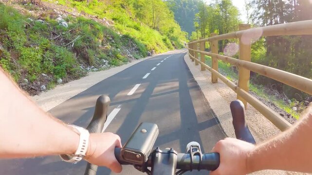 POV of cyclist riding on asphalt bike path at sunset in summer. Slovenia. First person view of male hands on bicycle handlebar cycling on road near wooden fence in green forest. Active sport outdoor