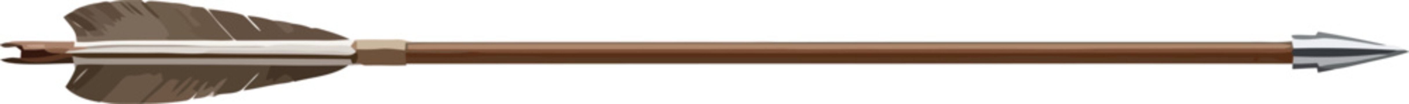 Traditional wooden arrow with feather fletching