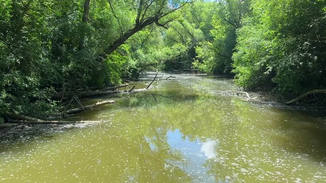 Nature scenics landscape in Ontario public park, Canada