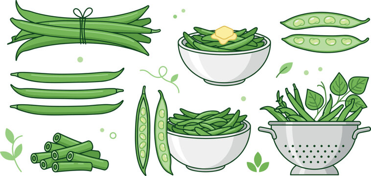 Organic string beans flat illustration collection featuring raw whole pods cut pieces metal colander cooked side dish bowl and green plant leaves isolated on white