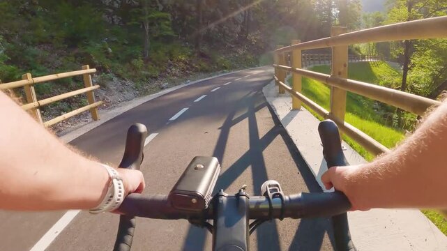 POV of cyclist riding on asphalt bike path at sunset in summer. Slovenia. First person view of male hands on bicycle handlebar cycling on road near wooden fence in green forest. Active sport outdoor