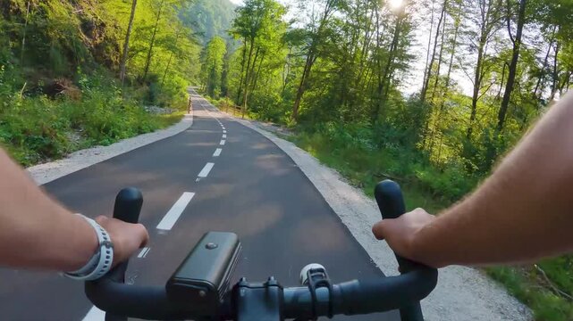 POV of cyclist riding on asphalt bike path at sunset in summer. Slovenia. First person view of male hands on bicycle handlebar cycling on road in green fields, forest. Active sport outdoor lifestyle