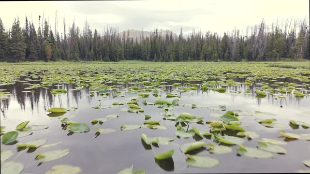 Lily Lake Uinta Mountains Forward Push Aerial 4K