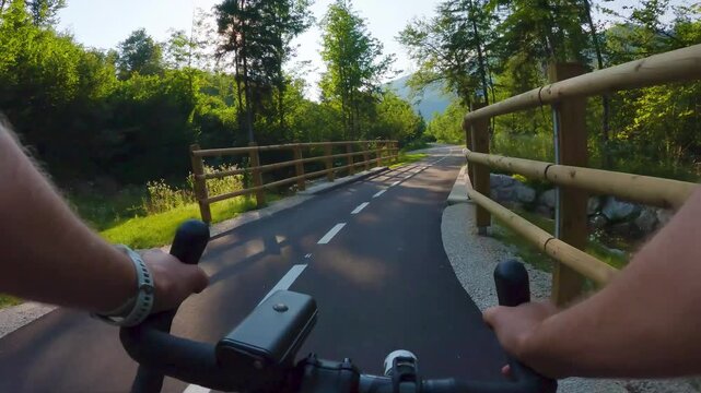 POV of cyclist riding on asphalt bike path at sunset in summer. Slovenia. First person view of male hands on bicycle handlebar cycling on road near wooden fence in green forest. Active sport outdoor