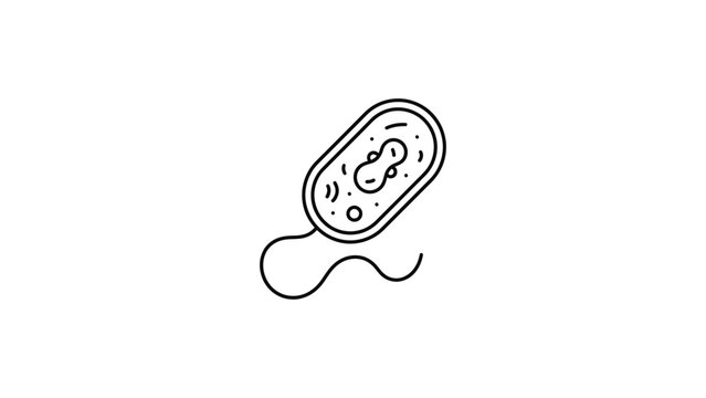 Minimalist hand drawn line art icon of a single bacteria cell.