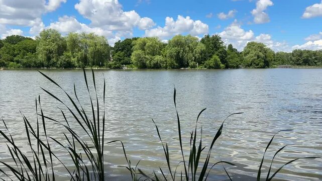 Nature scenics landscape in Ontario public park, Canada