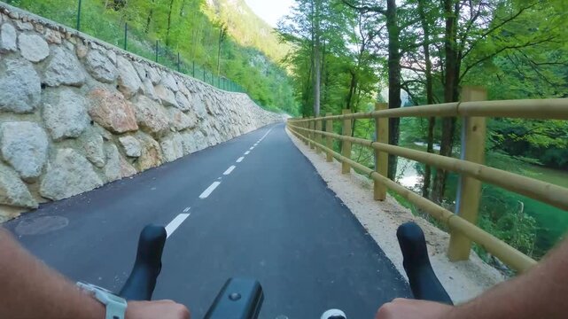 POV of cyclist riding on asphalt bike path at sunset in summer. Slovenia. First person view of male hands on bicycle handlebar cycling on road near wooden fence in green forest. Active sport outdoor