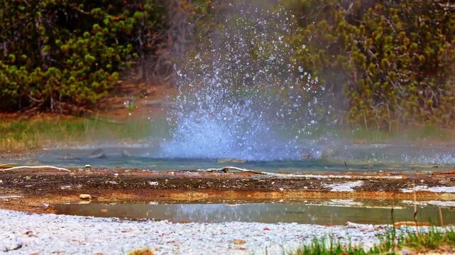 A bubbling geothermal hot spring sends water into the air at Norris Geyser Basin in Yellowstone National Park