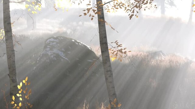 Sunlight filters through the trees in a forest. Fog covers the ground while the light creates a warm glow. Leaves show signs of changing colors in this natural setting.