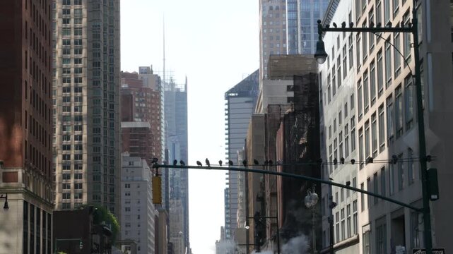 New York City Midtown urban tall building architecture, Manhattan straight street, 8 eights avenue, United States of America. Skyscraper towers, pigeon birds, USA. Hot steam smoke vapor. Traffic light