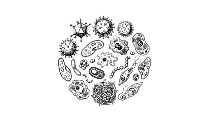 Vintage Medical Sketch of Viruses Bacteria Microbes Cancer Cells and Organic Biological Elements Hand Drawn Engraving Vector Collection on White © Shaon