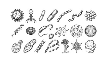 Scientific Virus Bacteria and Cancer Cell Sketch Vector Collection with Hand Drawn Engraving Microbiology Germ and Coronavirus Medical Illustration © Shaon
