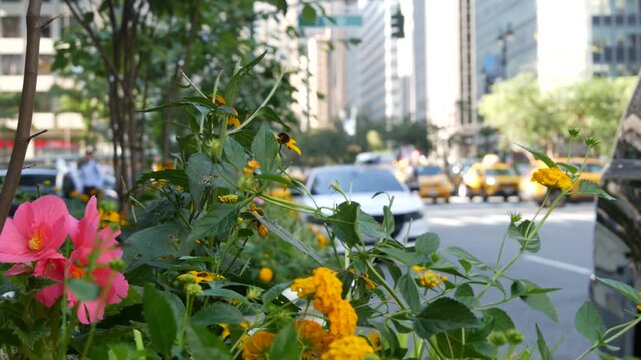 Manhattan Midtown East straight street, Park avenue New York City Turtle bay, United States. Yellow taxi car, urban road traffic. Summer flowers on boulevard. Transport and greenery in East Side.