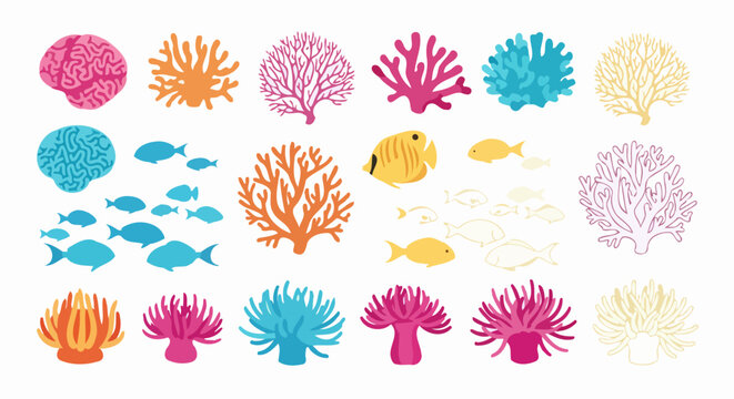 Vibrant underwater world with diverse coral reefs and tropical fish species.