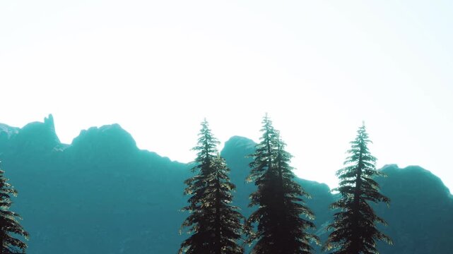 Tall trees stand at the base of large mountains under a bright sky. The sunlight shines on the peaks, creating a bold outline against the blue sky. It is daytime in a natural setting.