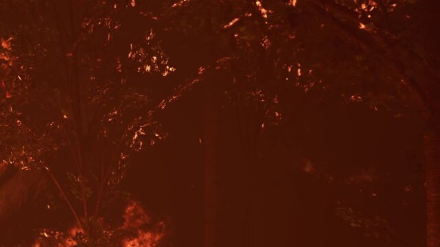 Bright flames consume trees in a forest at night. Smoke fills the air and orange light from the fire alters the environment. Nearby animals may be fleeing the scene to seek safety.