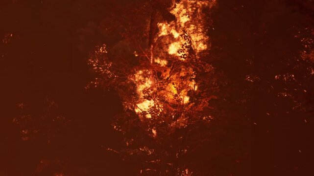 Flames rise high from trees in a forest fire at night. Smoke fills the air as bright firelight contrasts with the darkness. Wildlife and vegetation are under threat from the blaze.